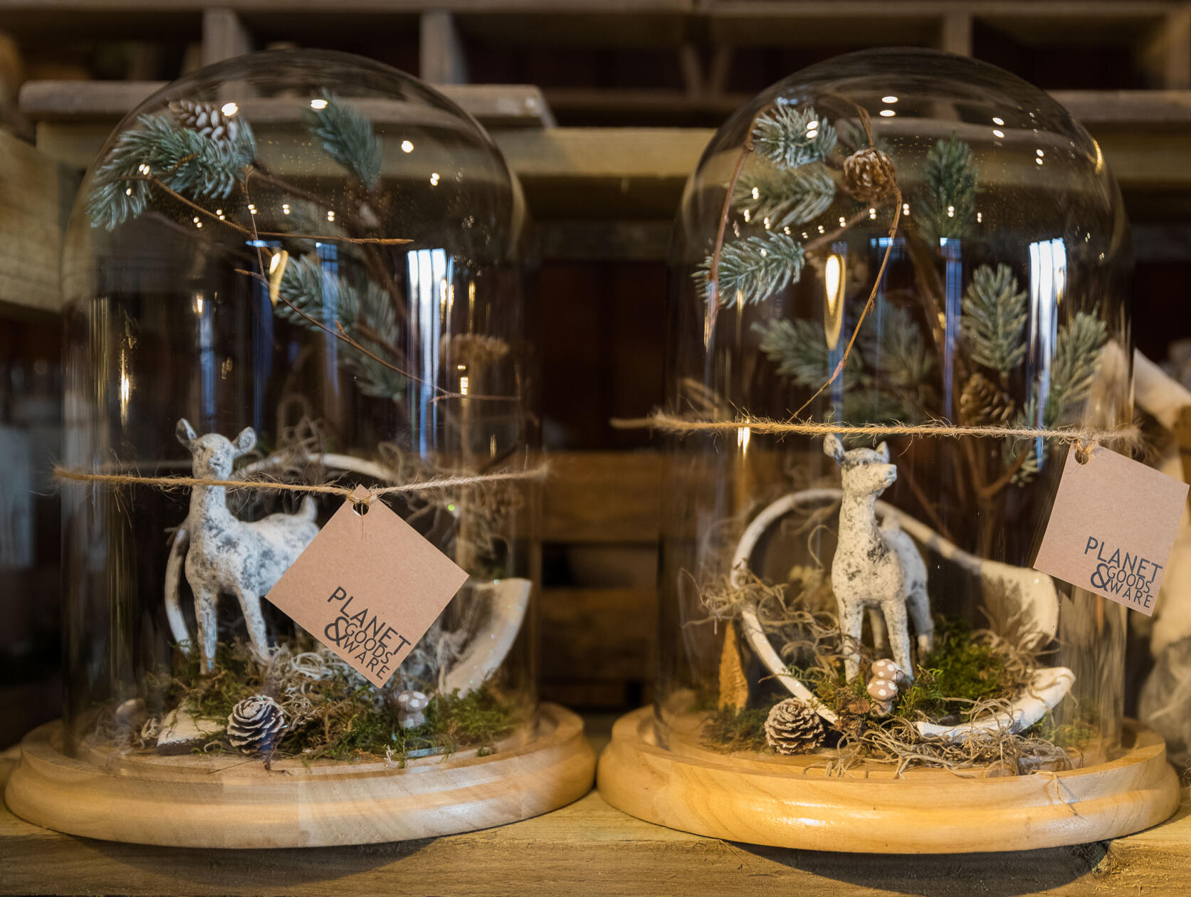 Deer Terrarium