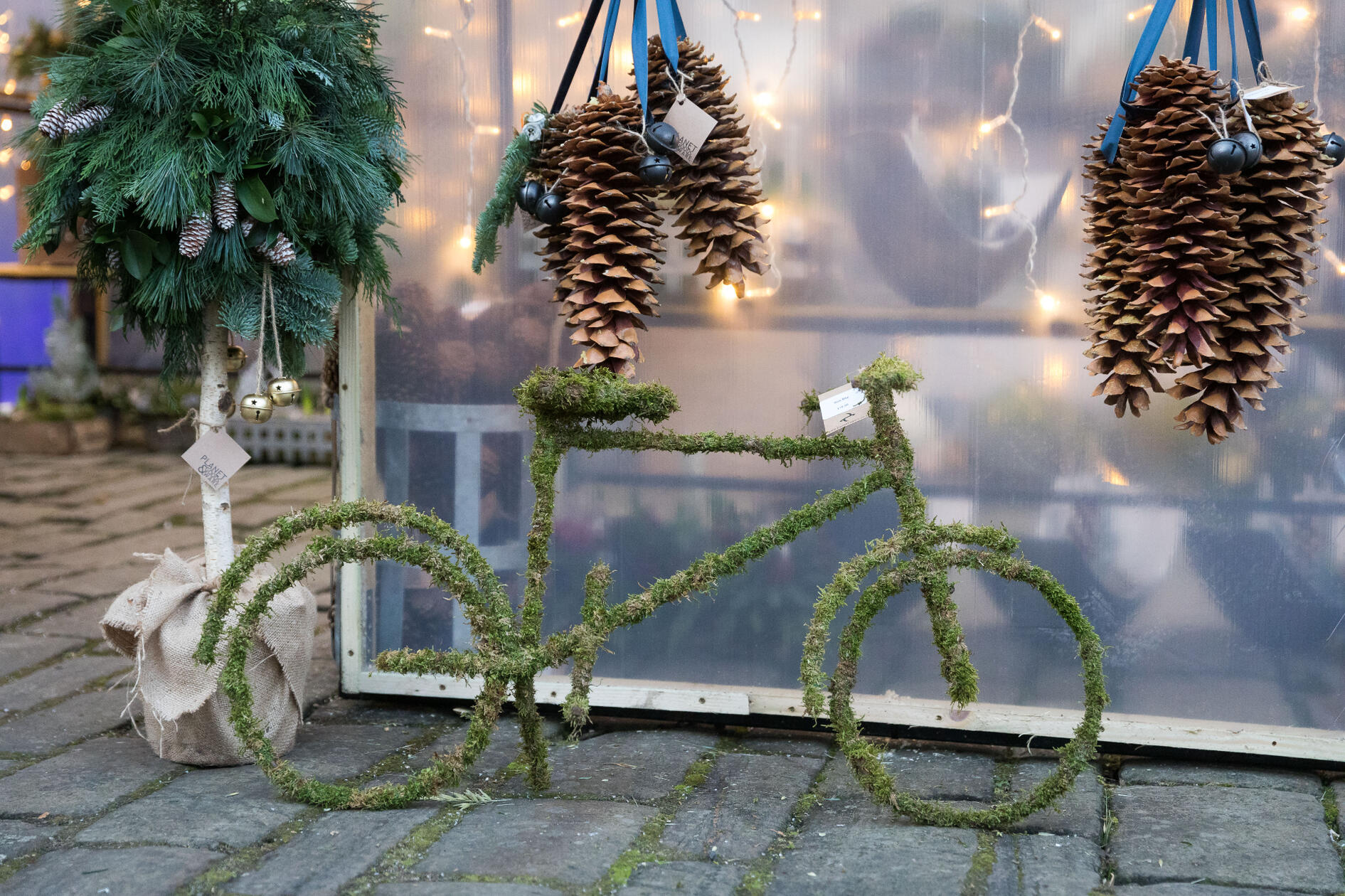 Moss Bike Moss Bike