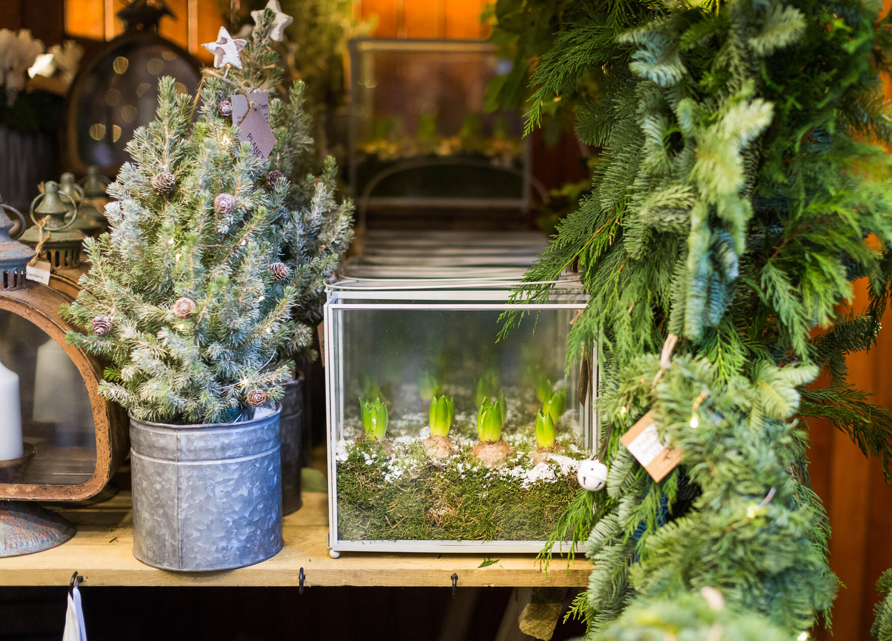 UntitledHopetoun House Christmas Fair